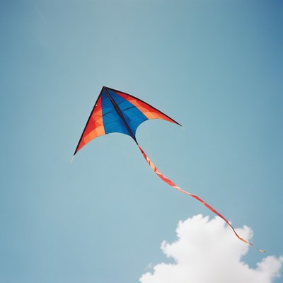 Red and blue kite flying in the sky