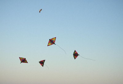 Colorful kites soar in clear blue sky during sunset