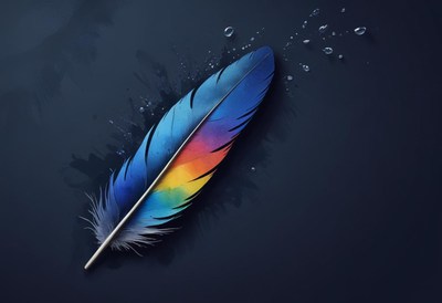 Colorful feather rests on dark surface with droplets