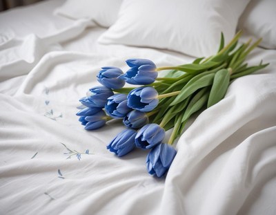 Fresh blue tulips arranged on a bed with white linens