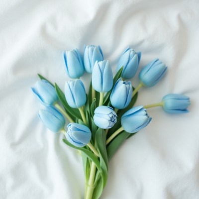 Beautiful bouquet of blue tulips arranged on soft fabric
