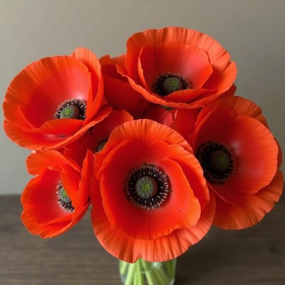 Vibrant orange poppies in a simple vase on a table