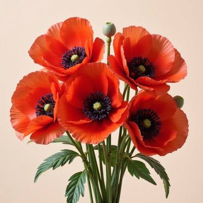 Bright red poppies in a simple vase arrangement