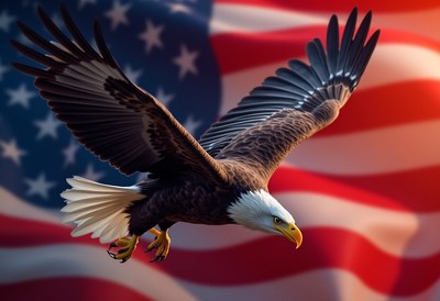 Bald eagle soaring with american flag background