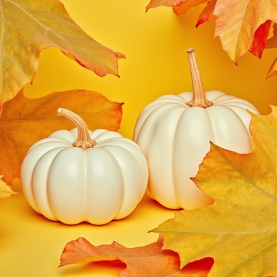 White pumpkins among autumn leaves on a yellow background