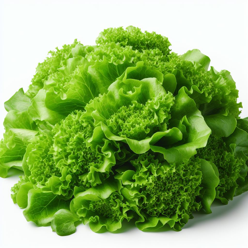 Fresh green lettuce leaves Fresh green lettuce leaves