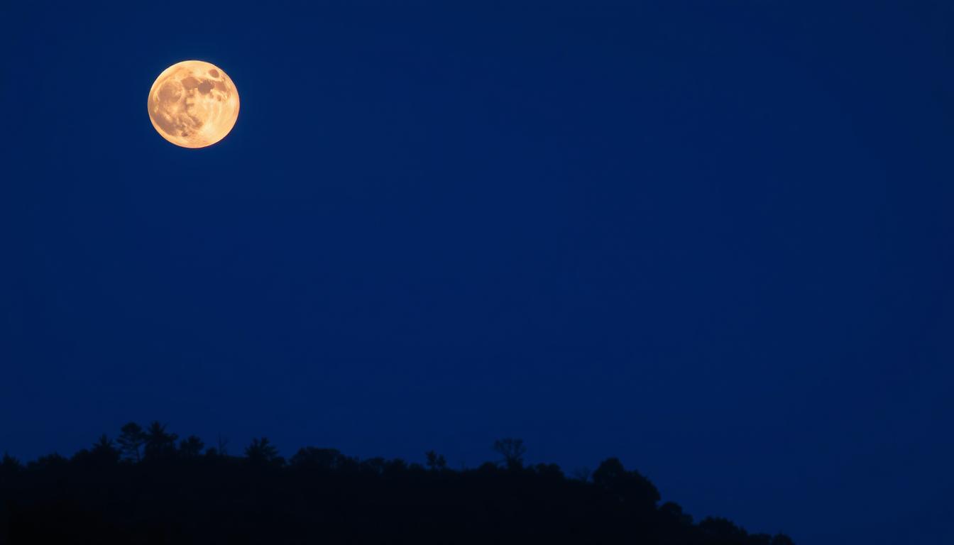 A full moon hangs in the night sky above a dark forest