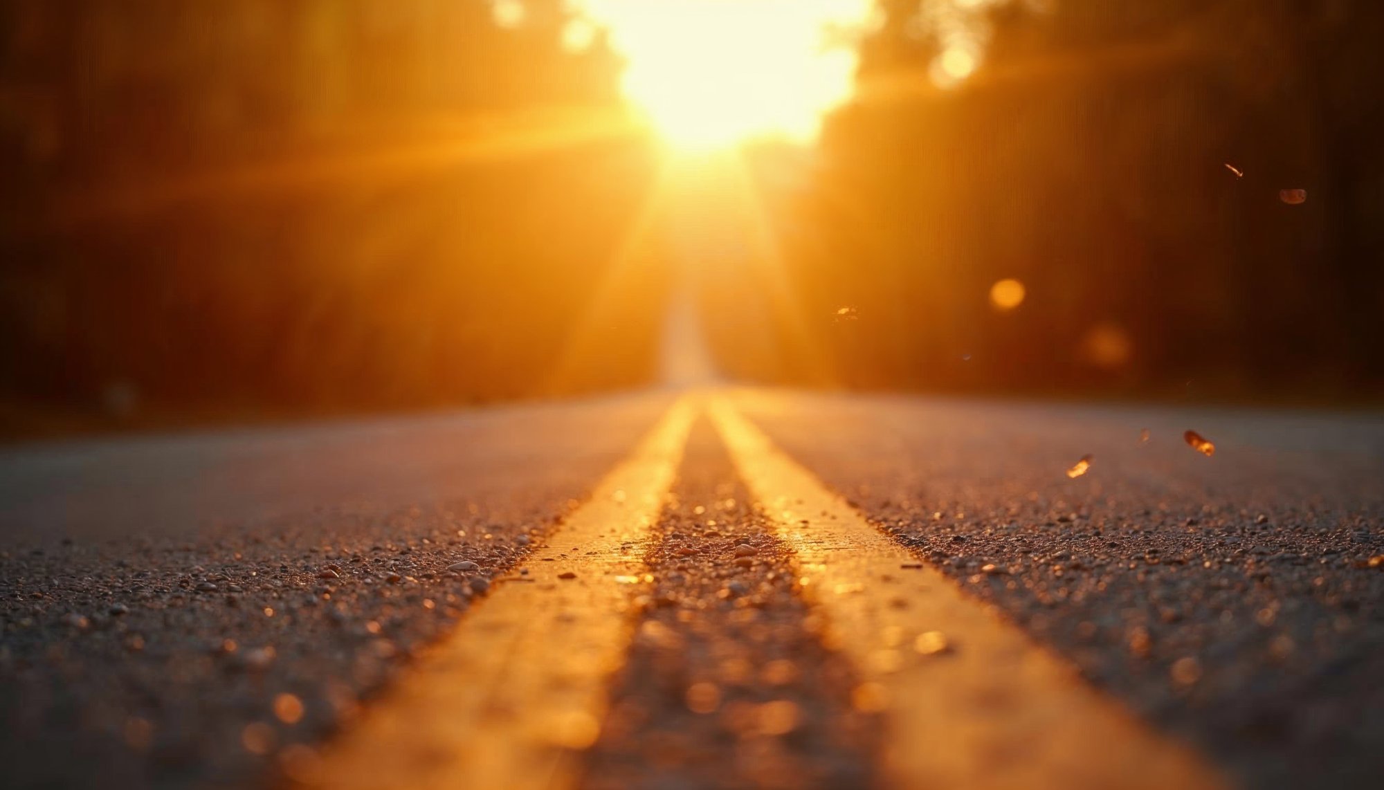 Sunlight illuminating a long road at sunset Sunlight illuminating a long road at sunset