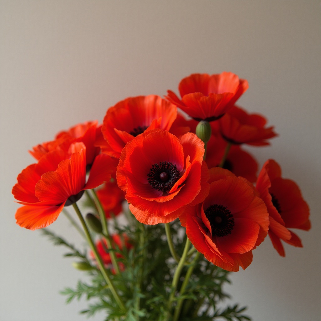 Bright red poppies in a simple vase arrangement Bright red poppies in a simple vase arrangement