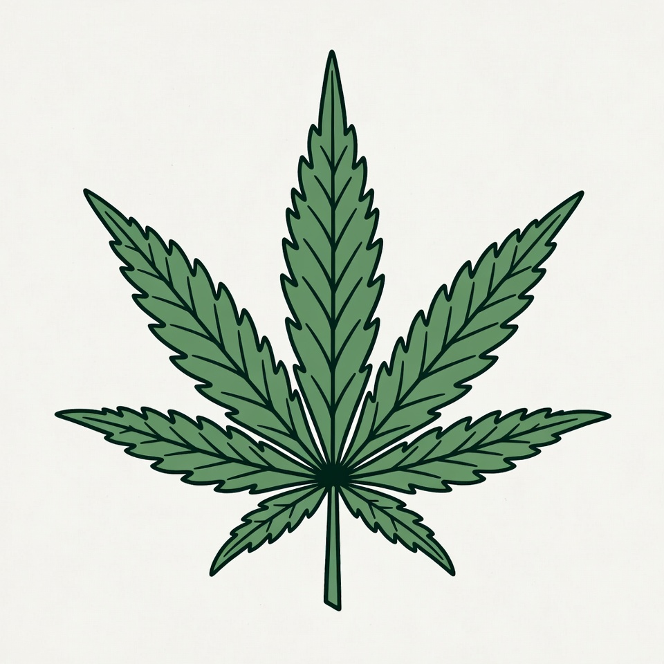 Cannabis leaf illustration in simple design Cannabis leaf illustration in simple design