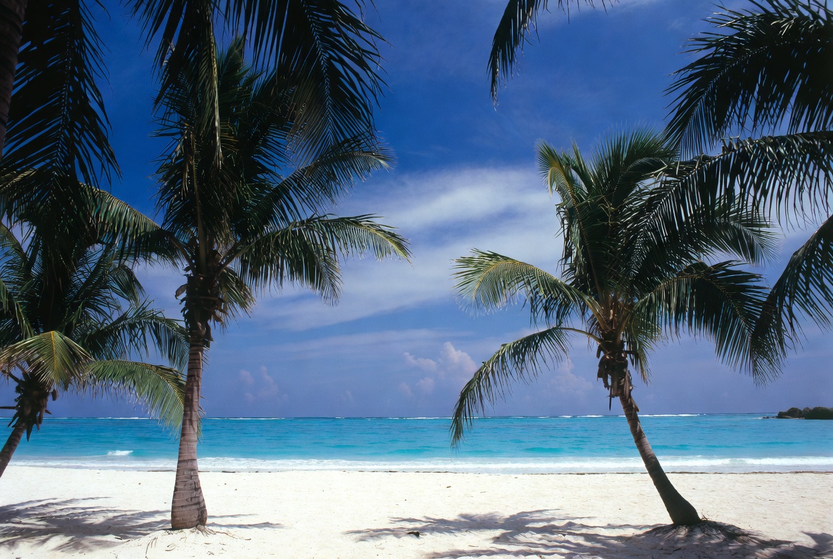 Serenity on a tropical beach Serenity on a tropical beach