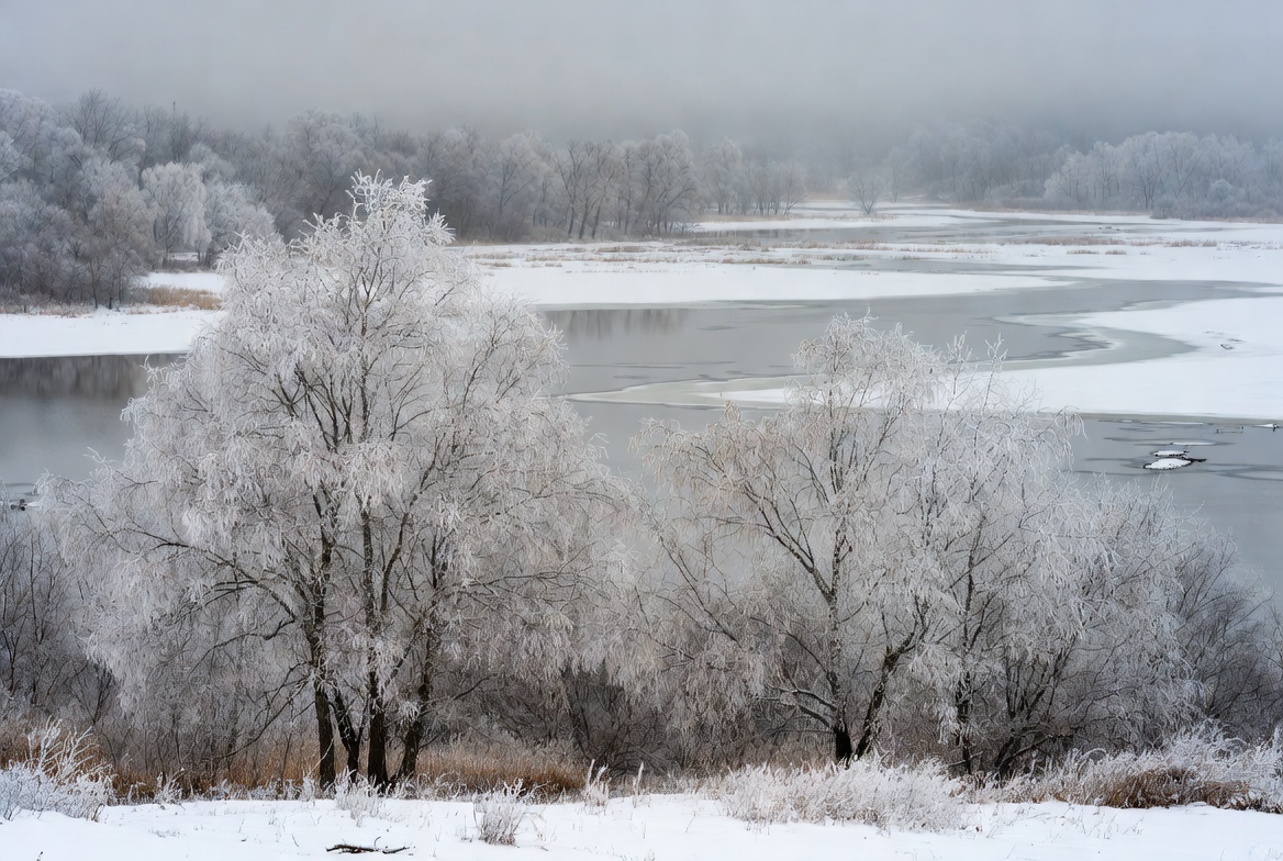 Frosty trees by quiet river Frosty trees by quiet river