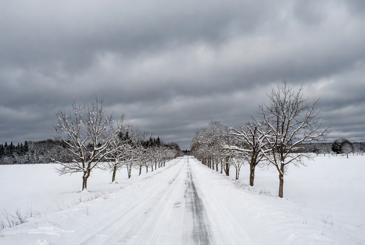 Snowy winter road lined with trees Snowy winter road lined with trees