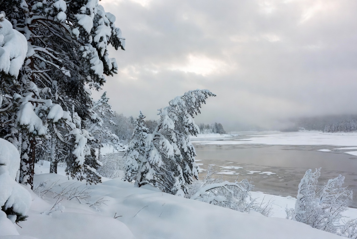 Winter landscape with snow-covered trees Winter landscape with snow-covered trees