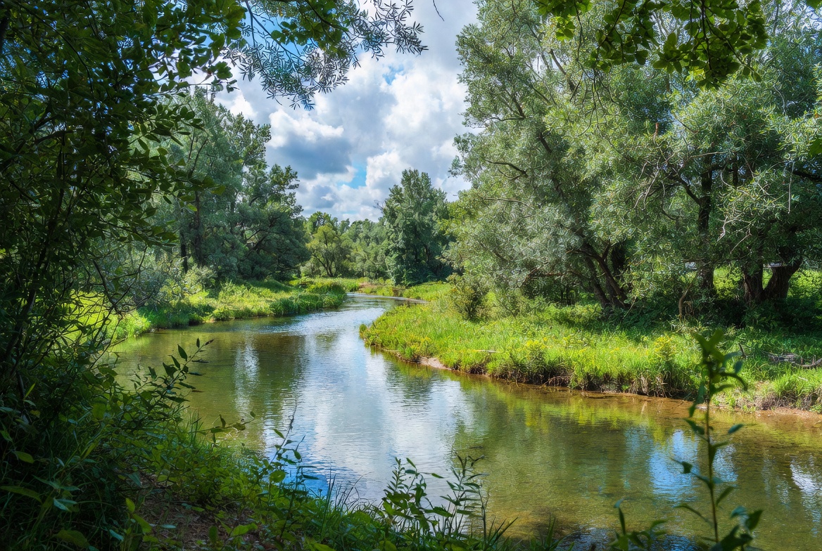 Serene river view in summer Serene river view in summer