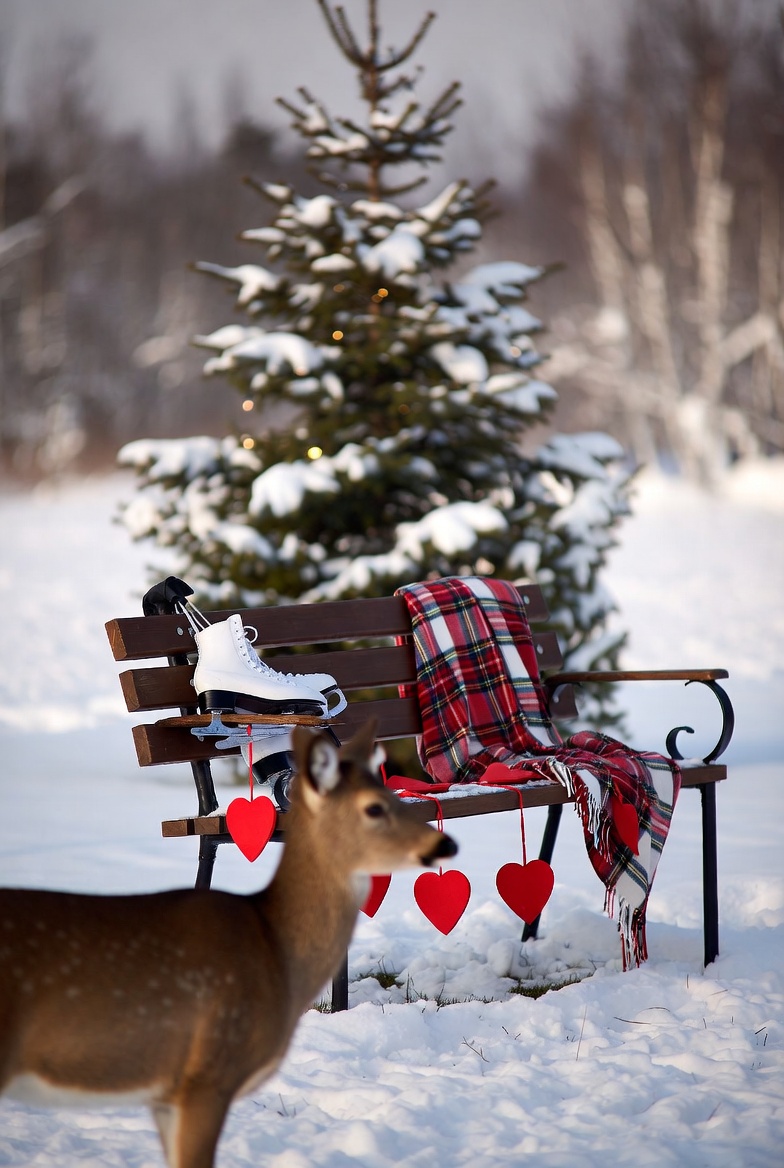 Winter scene with deer and skates Winter scene with deer and skates
