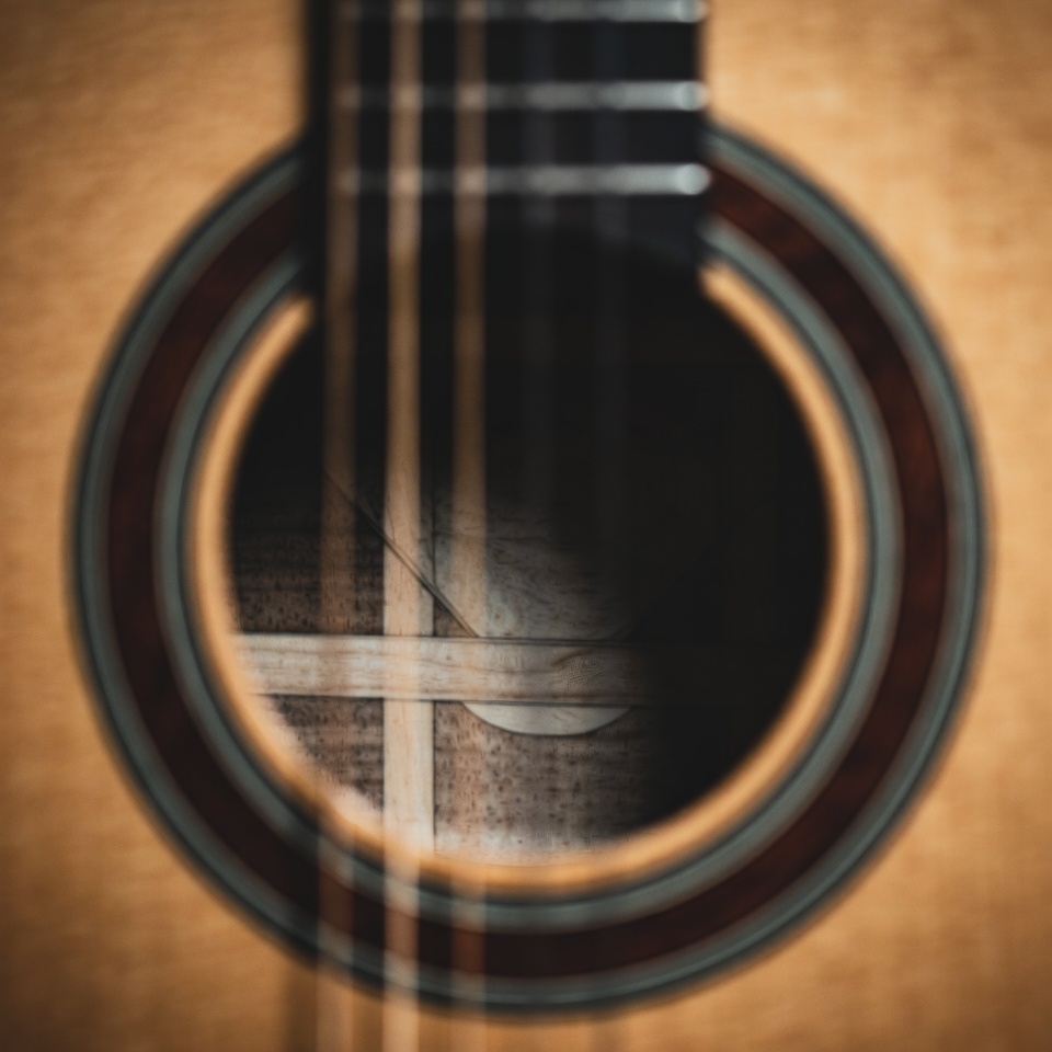 Guitar soundhole and strings detail Guitar soundhole and strings detail