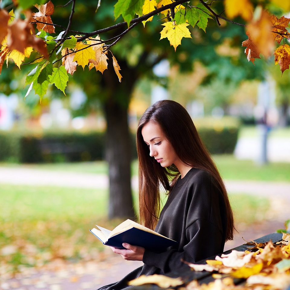 Reading under autumn leaves Reading under autumn leaves