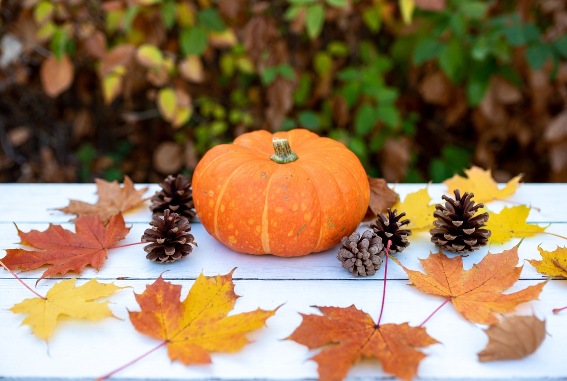 Pumpkin surrounded by autumn leaves and pinecones Pumpkin surrounded by autumn leaves and pinecones