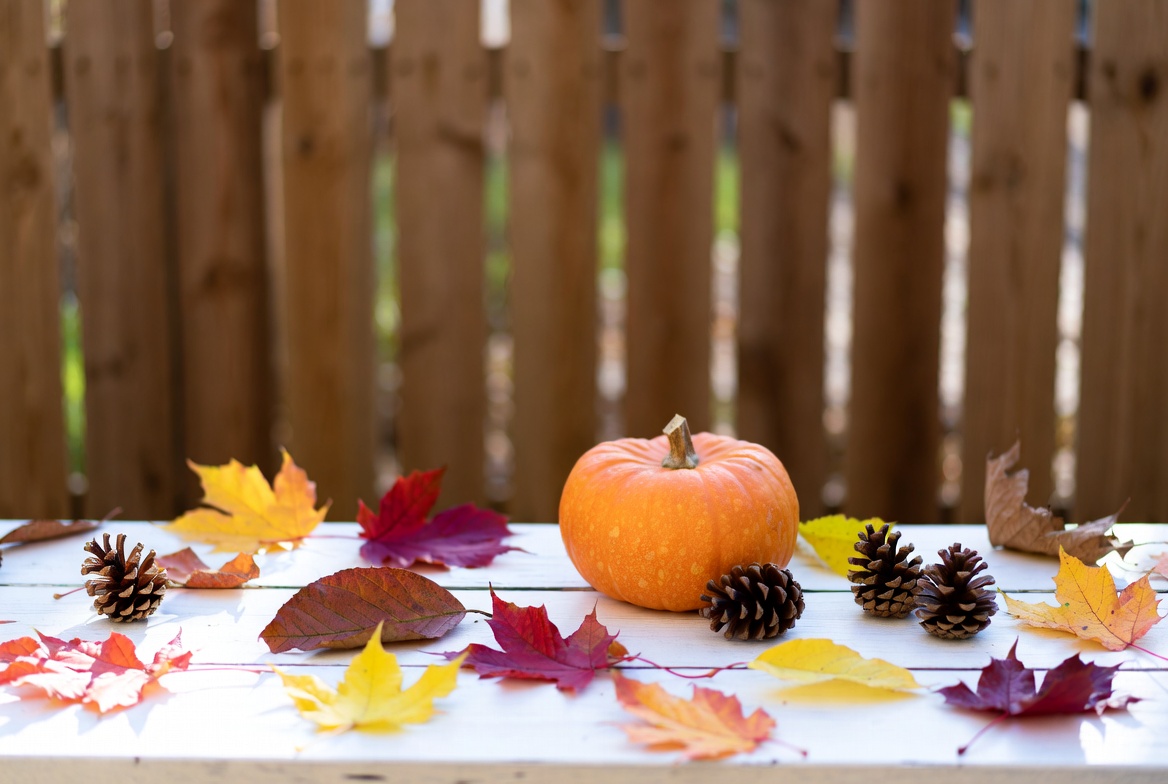 Gathering of autumn leaves and pumpkin Gathering of autumn leaves and pumpkin