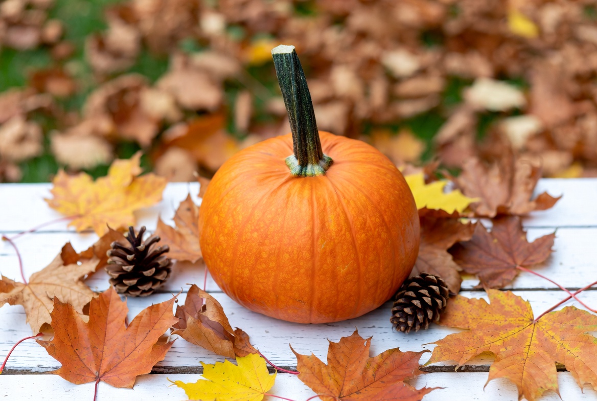 Pumpkin surrounded by autumn leaves Pumpkin surrounded by autumn leaves
