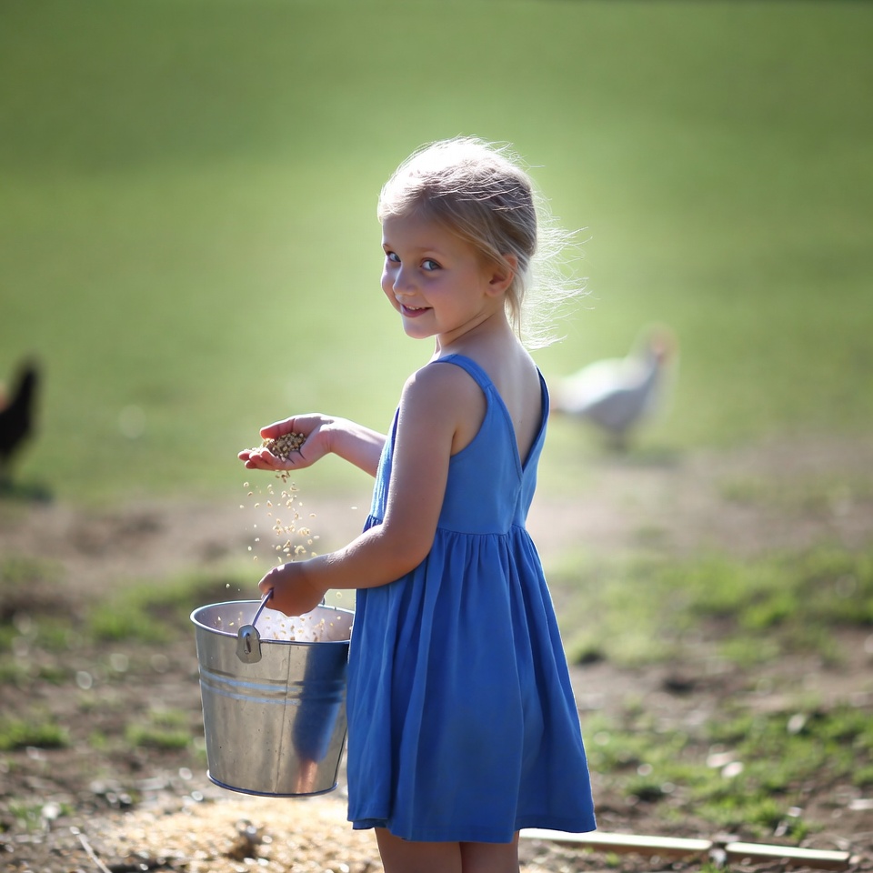 Girl feeding birds at farm Girl feeding birds at farm