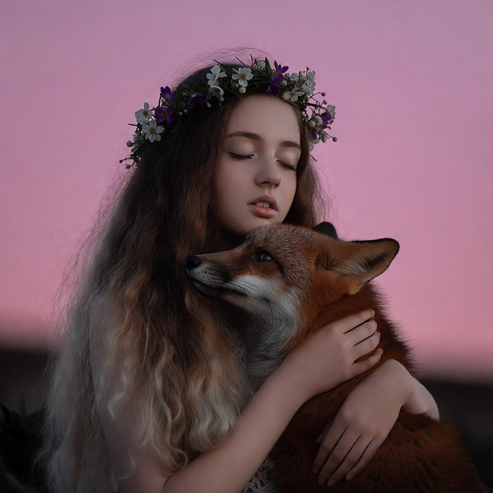 Girl hugs a fox at sunset Girl hugs a fox at sunset