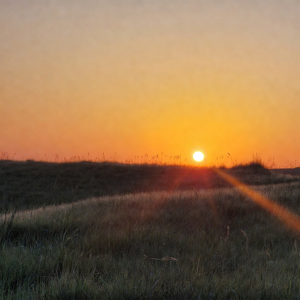 Sunset over grassy field in evening Sunset over grassy field in evening
