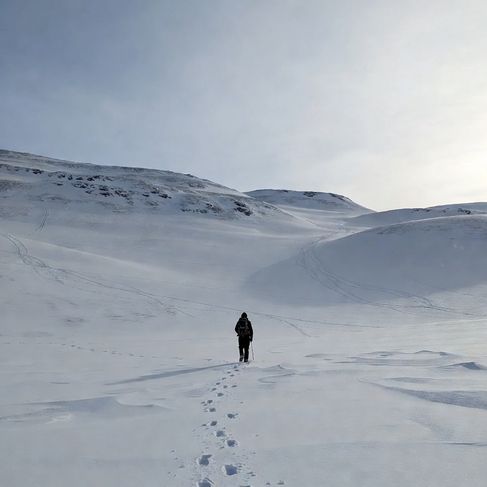 Alone in snowy landscape on winter day Alone in snowy landscape on winter day