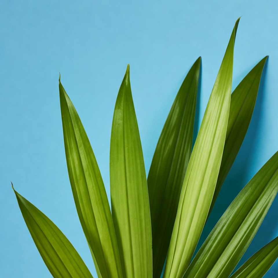 Green leaves against blue background Green leaves against blue background