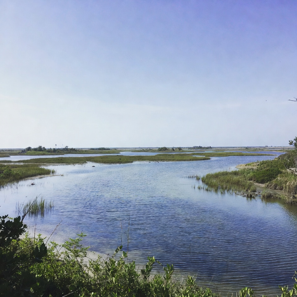 Scenic view over wetland landscape Scenic view over wetland landscape
