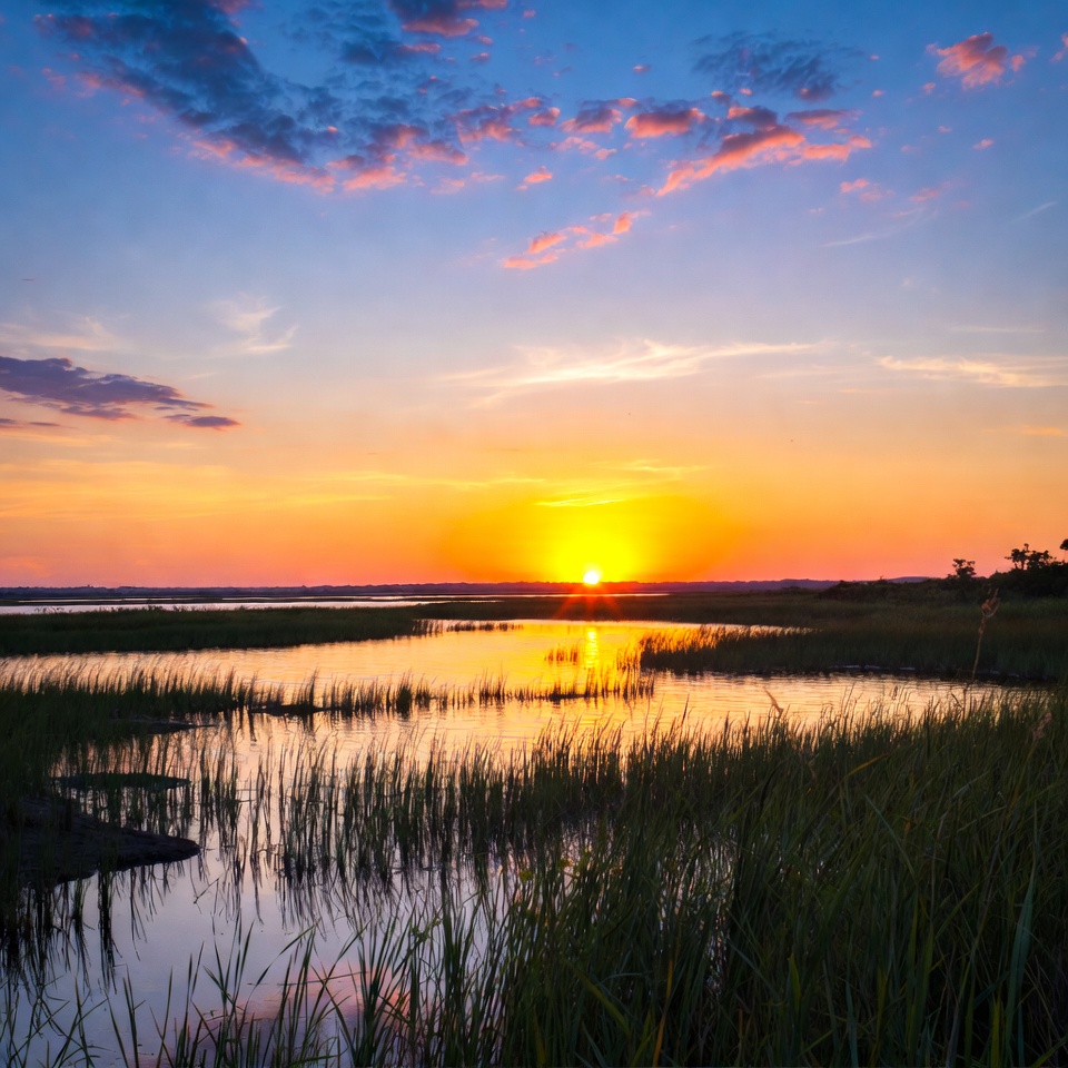 Sunset over wetland landscape during evening Sunset over wetland landscape during evening