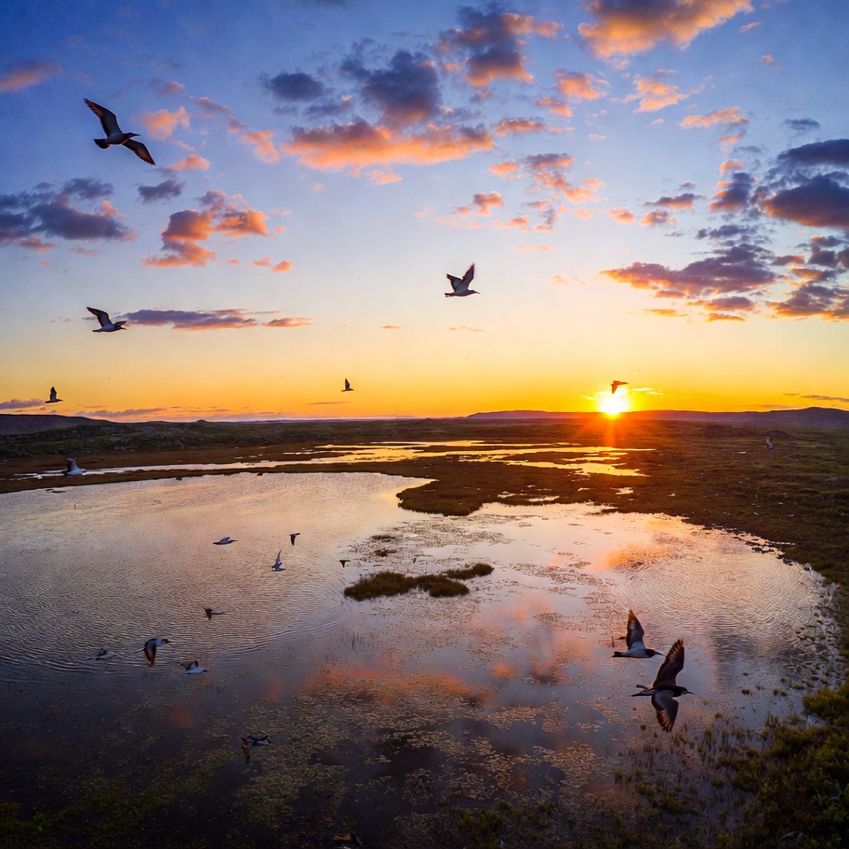 Sunset over the water with birds flying Sunset over the water with birds flying