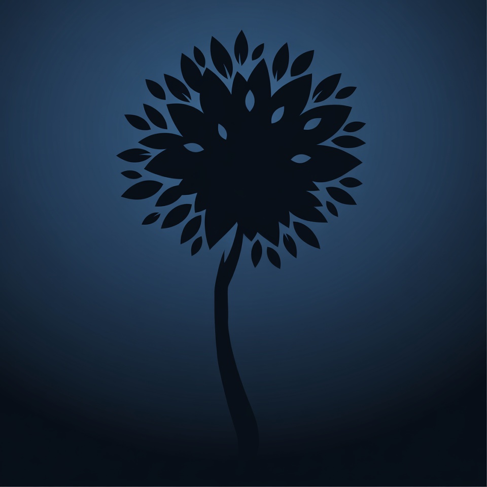 Tree silhouette against dark background Tree silhouette against dark background