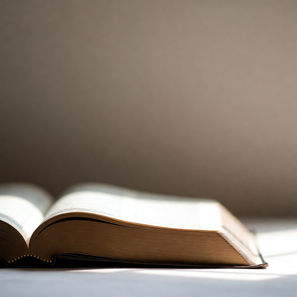 Open book in soft light Open book in soft light