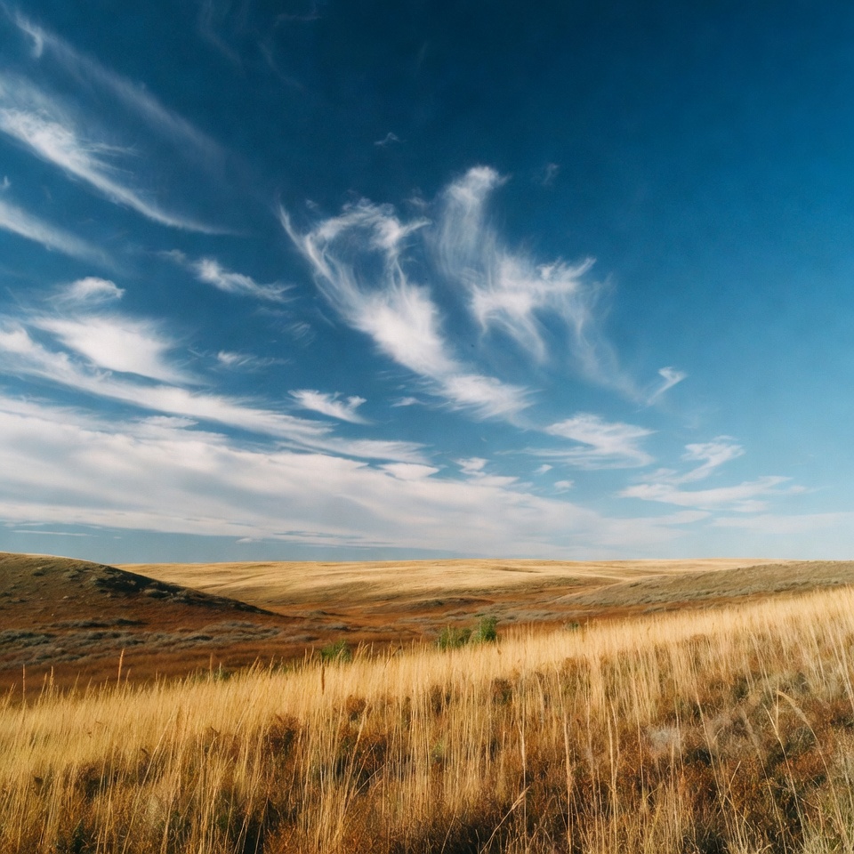 Sky and grassland landscape under blue sky Sky and grassland landscape under blue sky