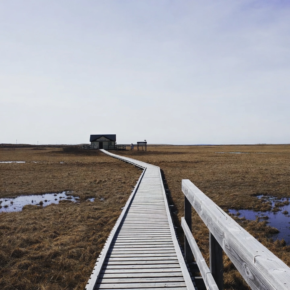 Boardwalk leading to a shelter in marsh Boardwalk leading to a shelter in marsh