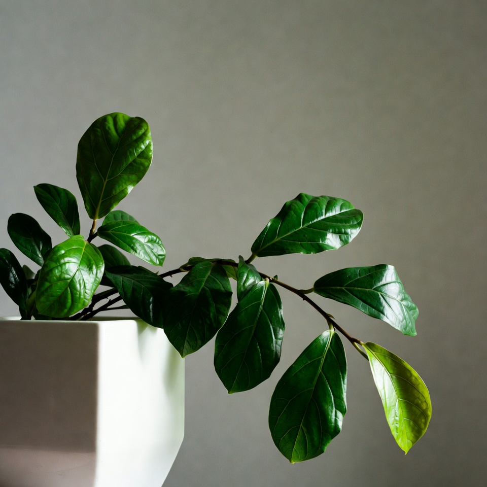 Green plant in simple pot Green plant in simple pot
