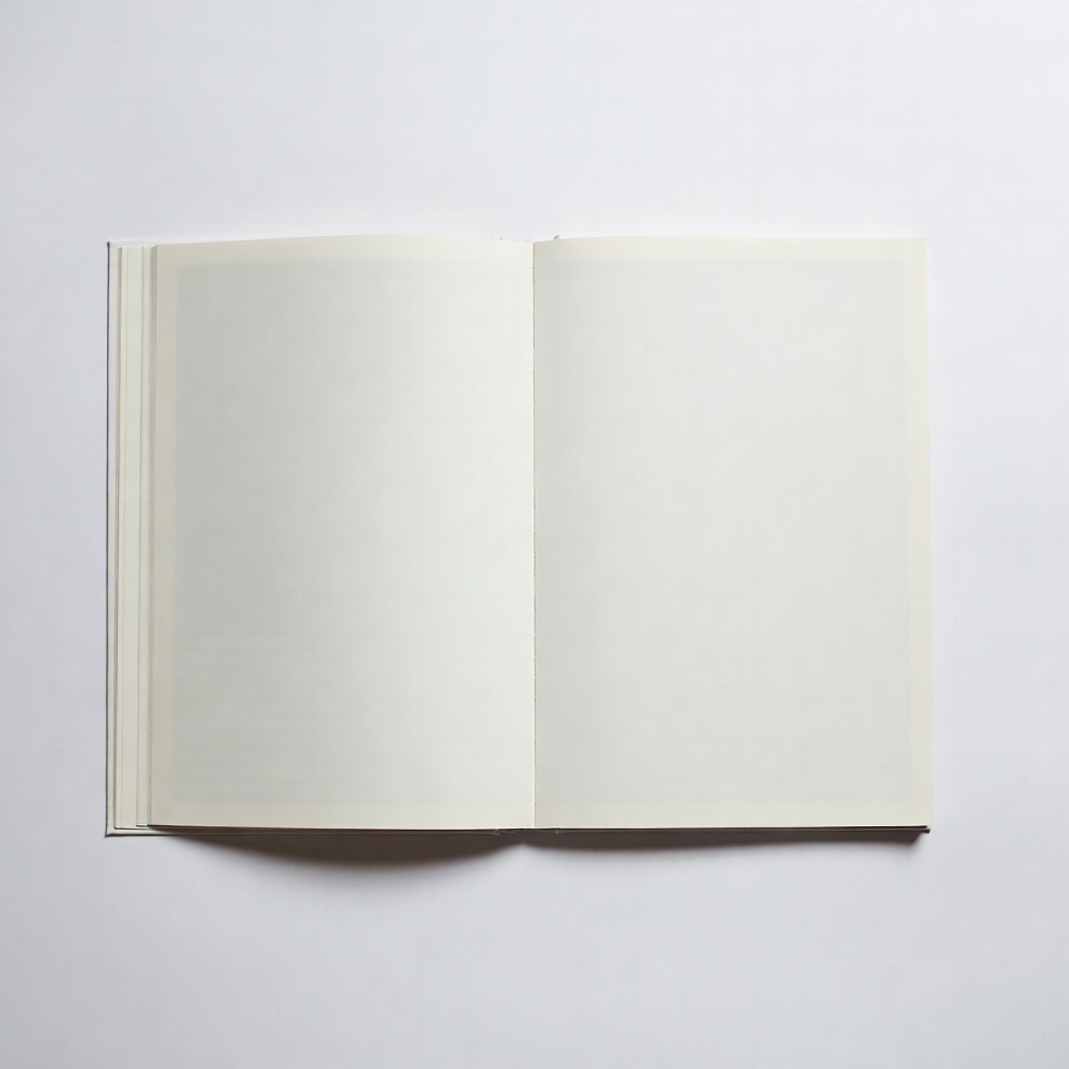 Blank pages in an empty book Blank pages in an empty book