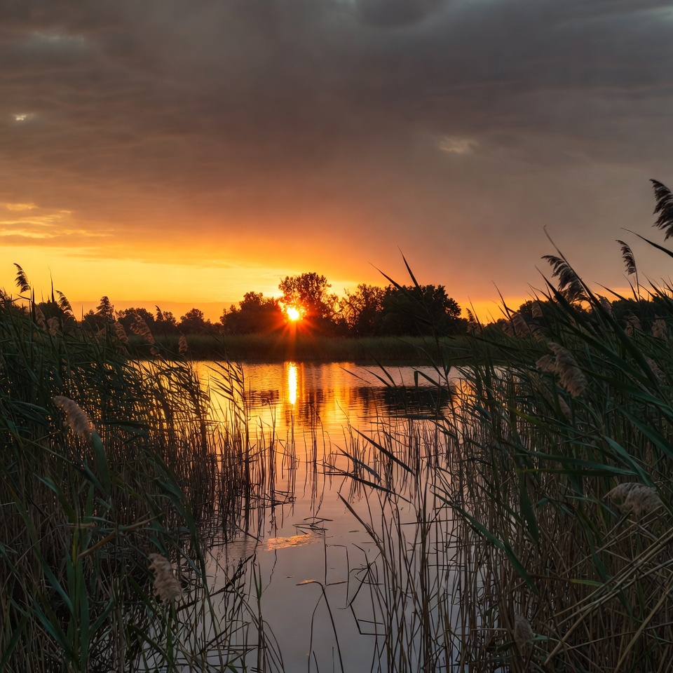 Sunset over calm water and grass Sunset over calm water and grass