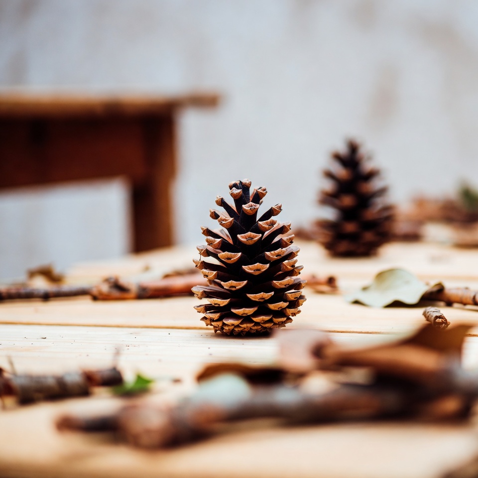 Pine cones on a wooden table Pine cones on a wooden table