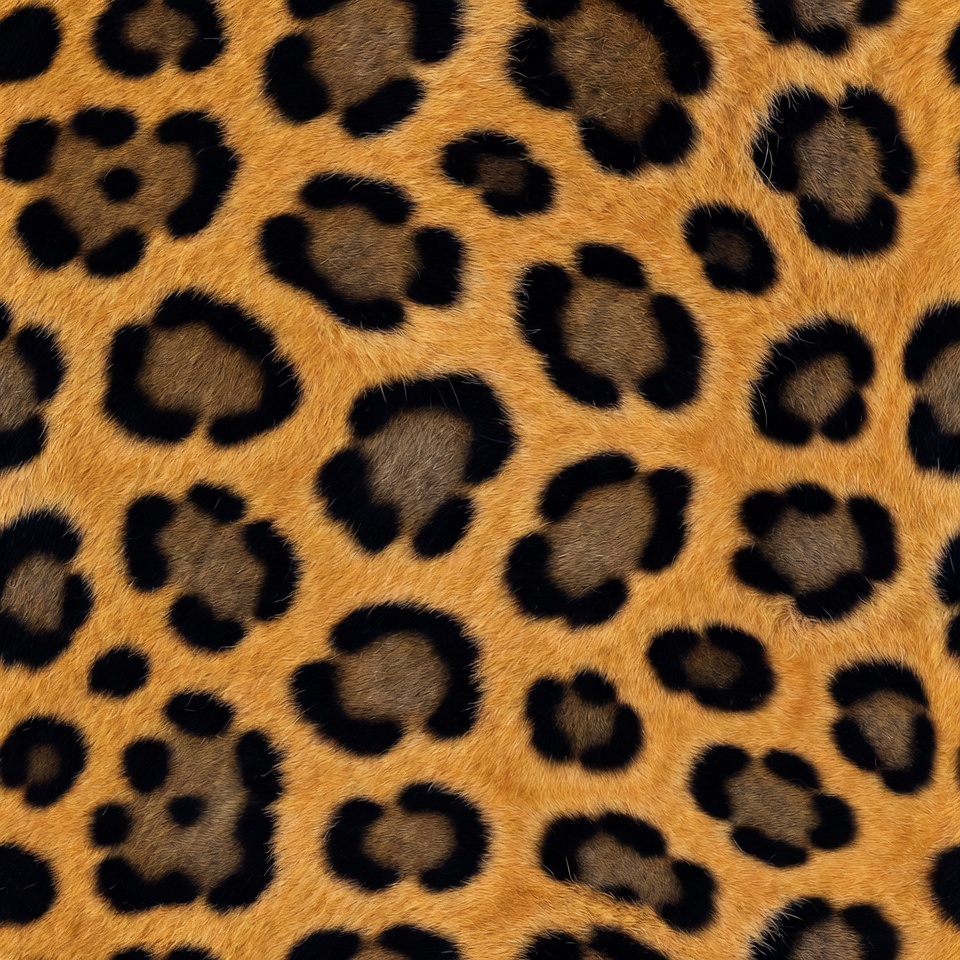 Leopard pattern in natural colors Leopard pattern in natural colors