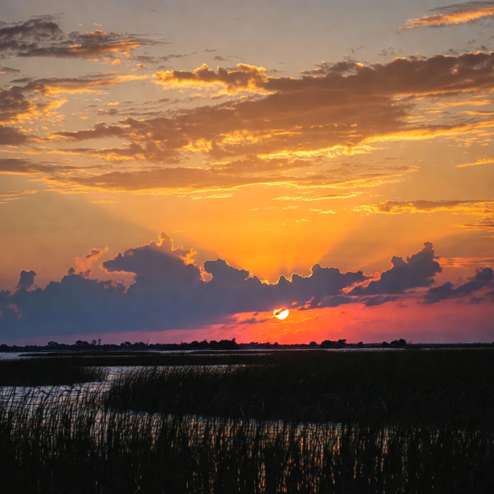 Sunset over marsh landscape near water Sunset over marsh landscape near water