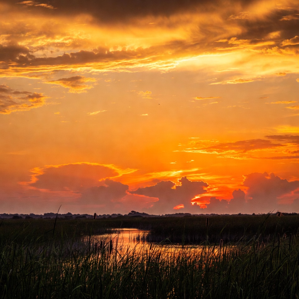 Sunset over the wetlands by a river Sunset over the wetlands by a river