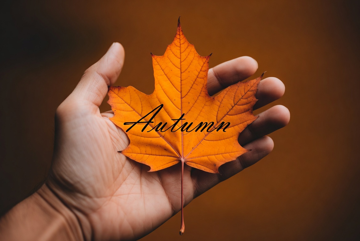 Holding a maple leaf in autumn Holding a maple leaf in autumn