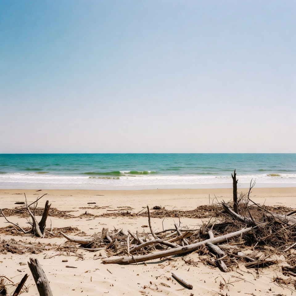 Nature meets sea on a quiet beach Nature meets sea on a quiet beach