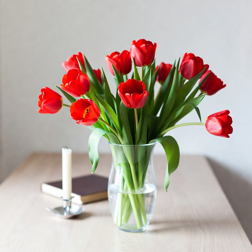 Red tulips on wooden table Red tulips on wooden table