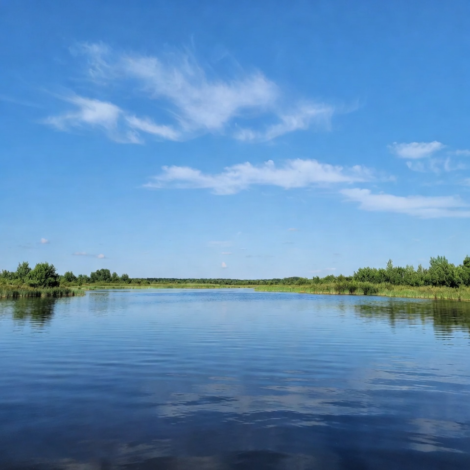 Bright day at the river Bright day at the river