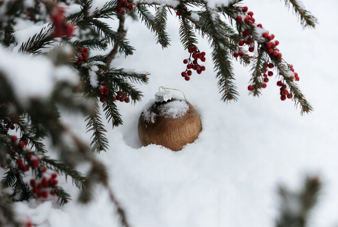 Ornament in snow with pine branch Ornament in snow with pine branch
