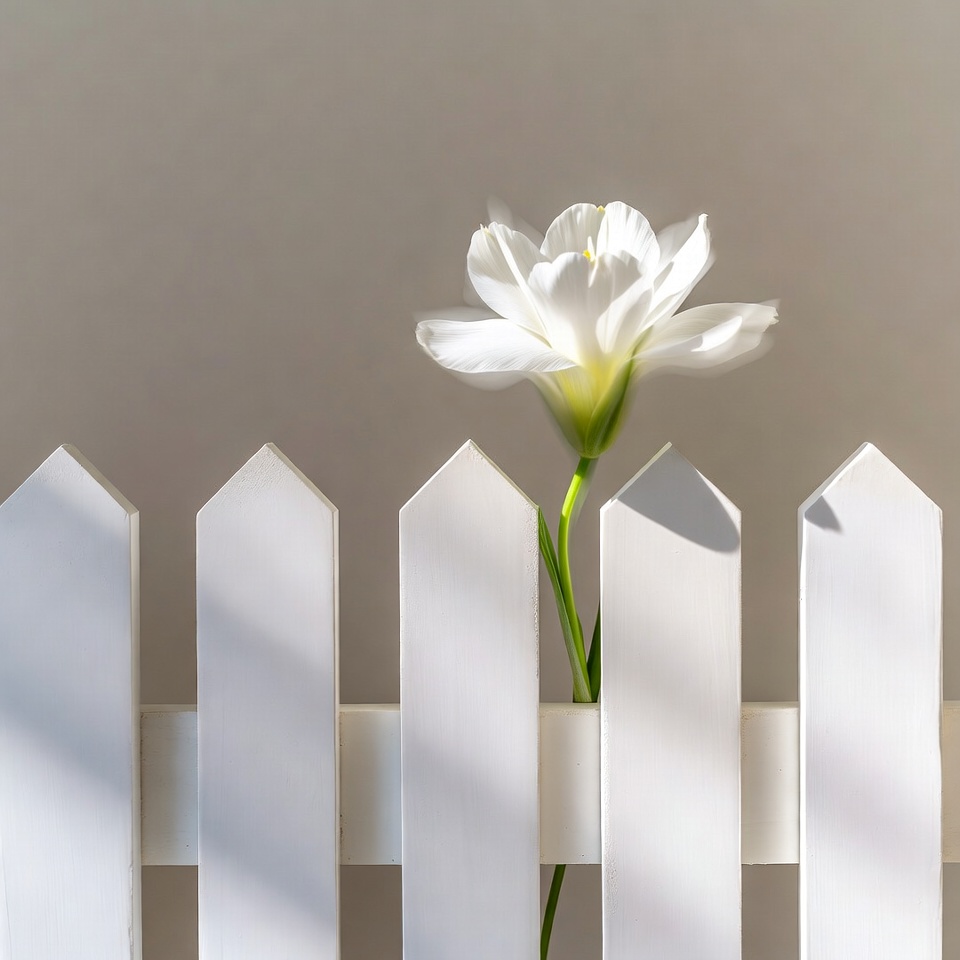 White flower over picket fence White flower over picket fence